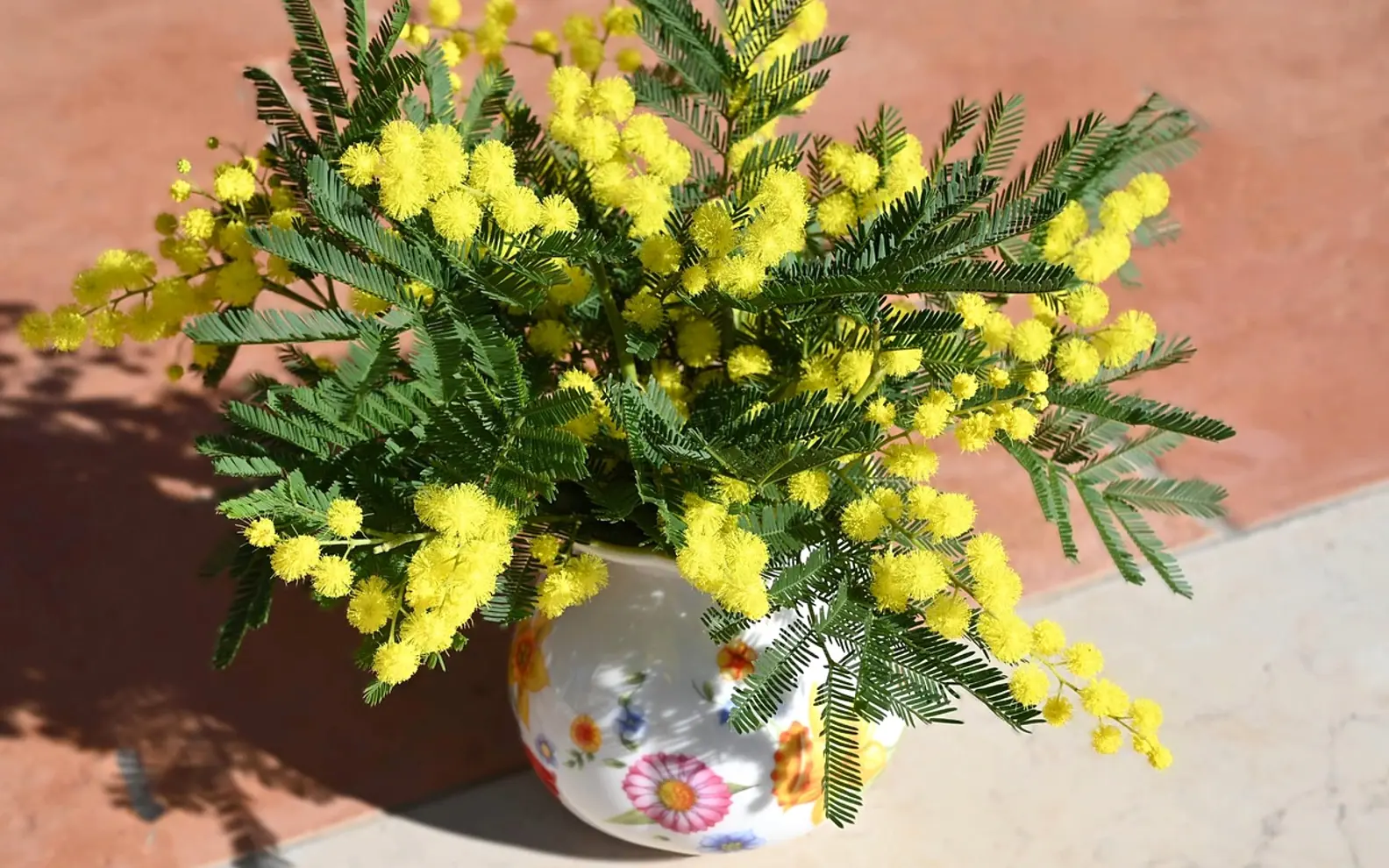 Mimosa, acacia flowers and yellow bouquet